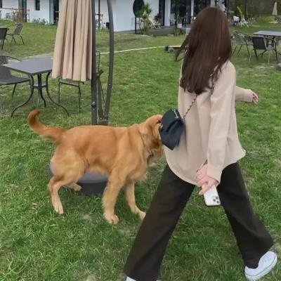 羊城暗哨